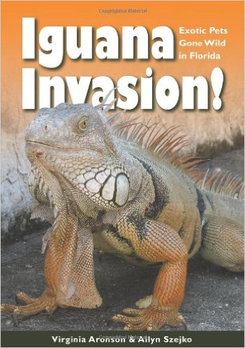 Iguana Invasion